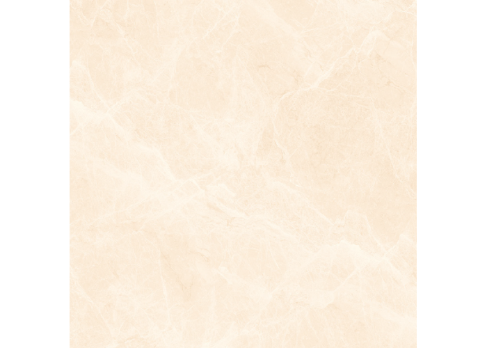 Á Mỹ Almera 1824 800 x 800 mm (Porcelain)