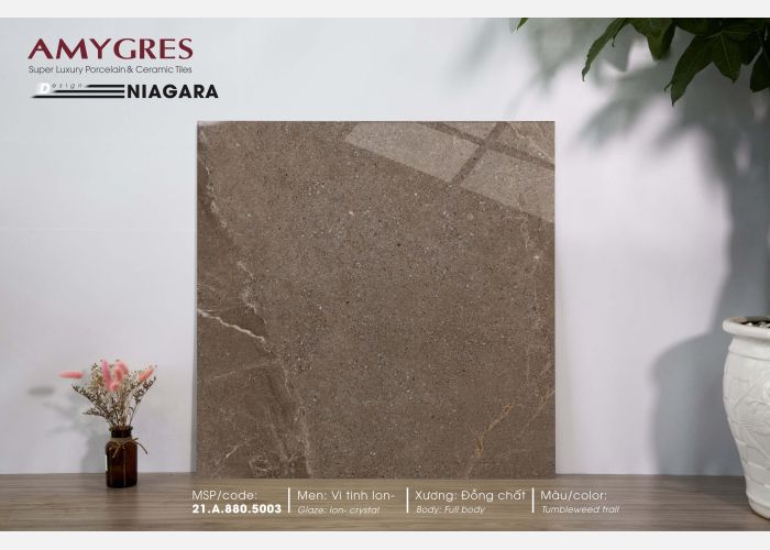 Á Mỹ Niagara 5003 800 x 800 mm (Porcelain)