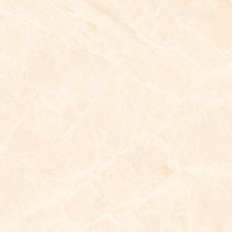 Á Mỹ Almera 1824 800 x 800 mm (Porcelain)