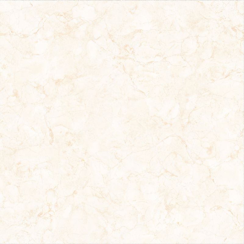 Á Mỹ 6505 800 x 800 mm (Porcelain)
