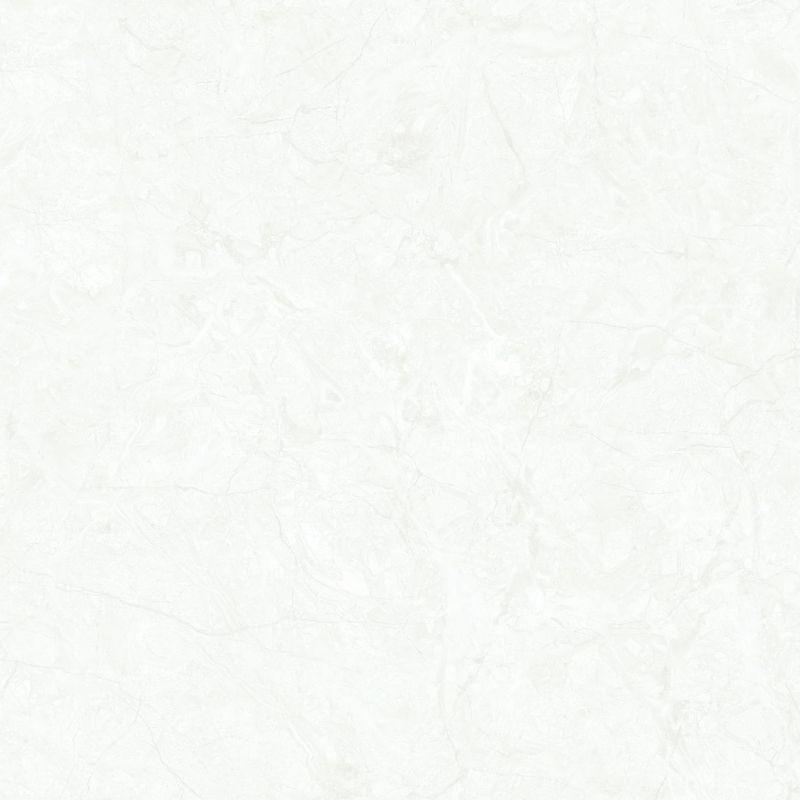 Á Mỹ 0677 600 x 600 mm (Porcelain)