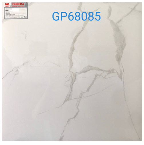  Gạch bóng kiếng Taicera 600x600/600x300 mm GP68085 