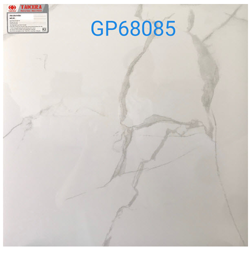 Gạch bóng kiếng Taicera 600x600/600x300 mm GP68085