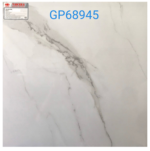 Gạch bóng kiếng Taicera 600x600/600x300 mm GP68945