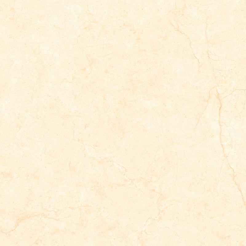 Á Mỹ Savery 0045 600 x 600 mm (Porcelain)
