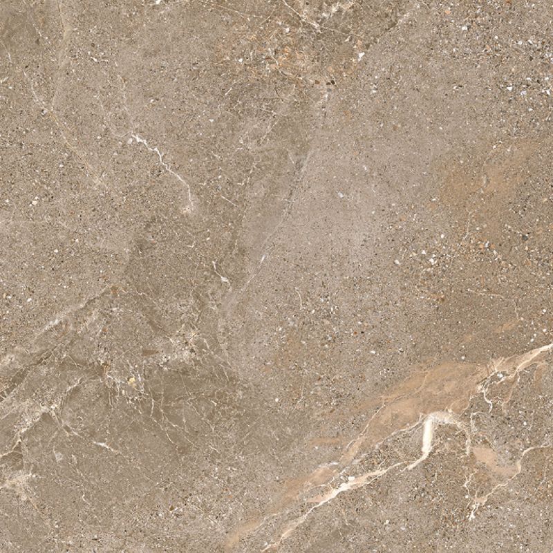 Á Mỹ Niagara 5003 800 x 800 mm (Porcelain)