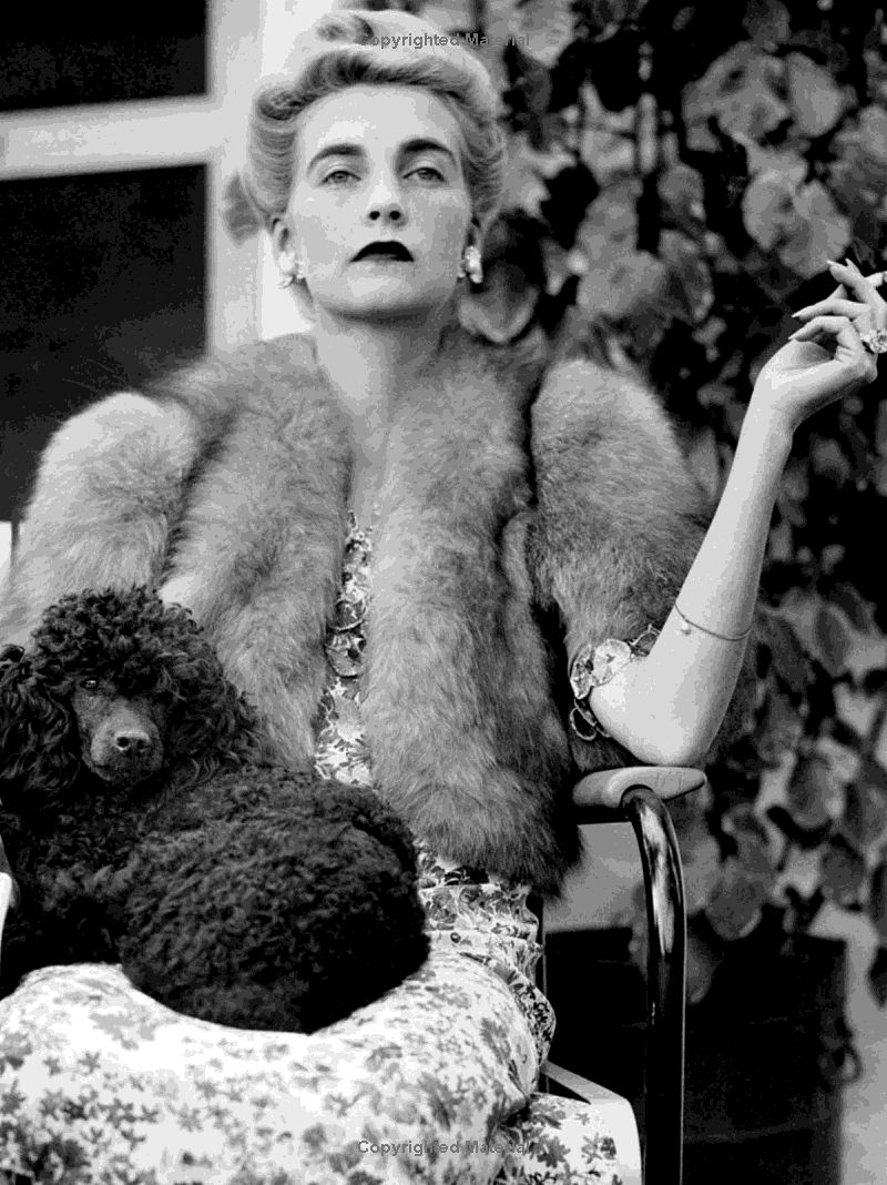 International Best-Dressed List : The Official Guide