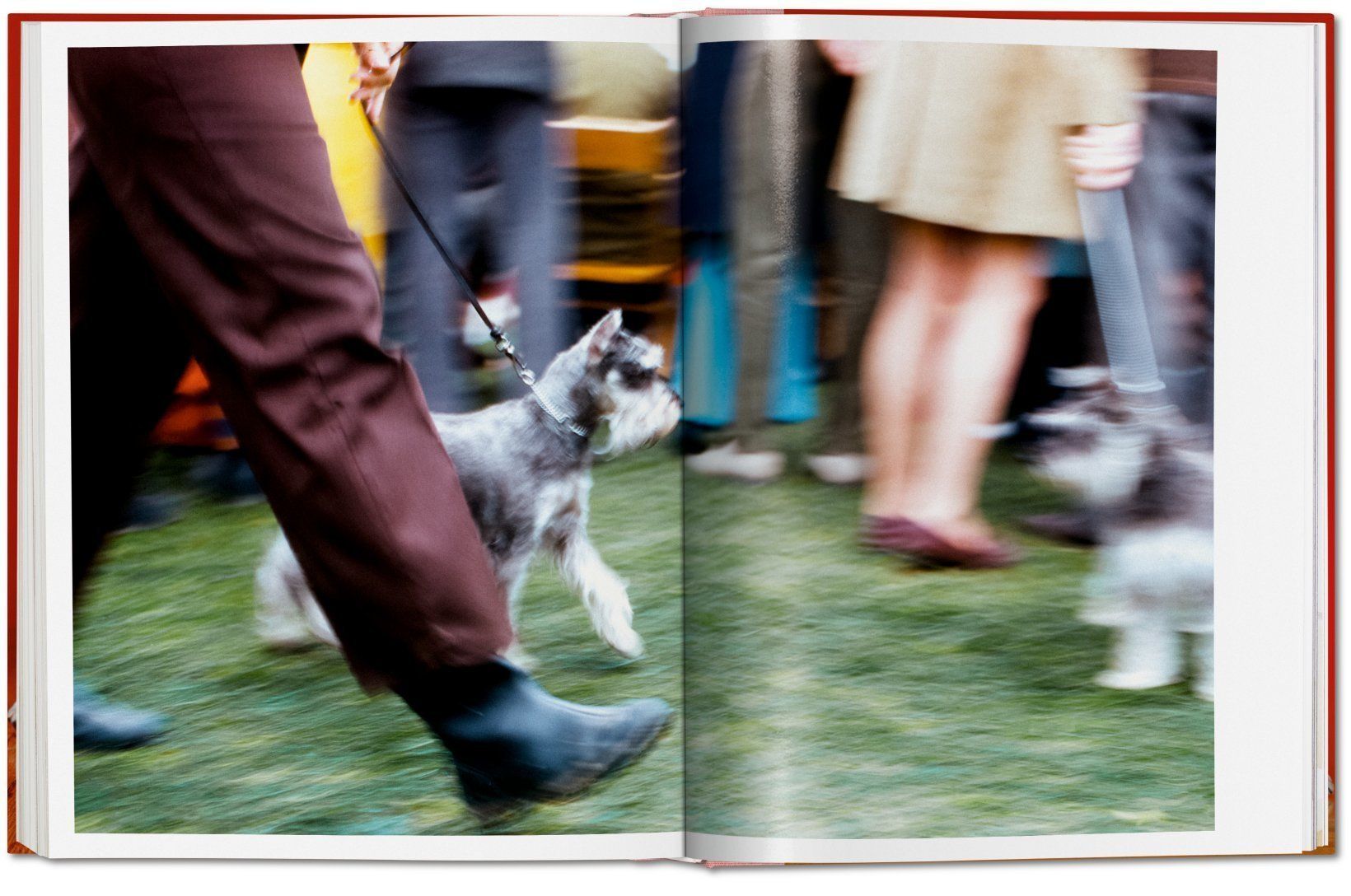 Dogs. Photographs 1941-1991_Walter Chandoha_9783836584296_Taschen GmbH