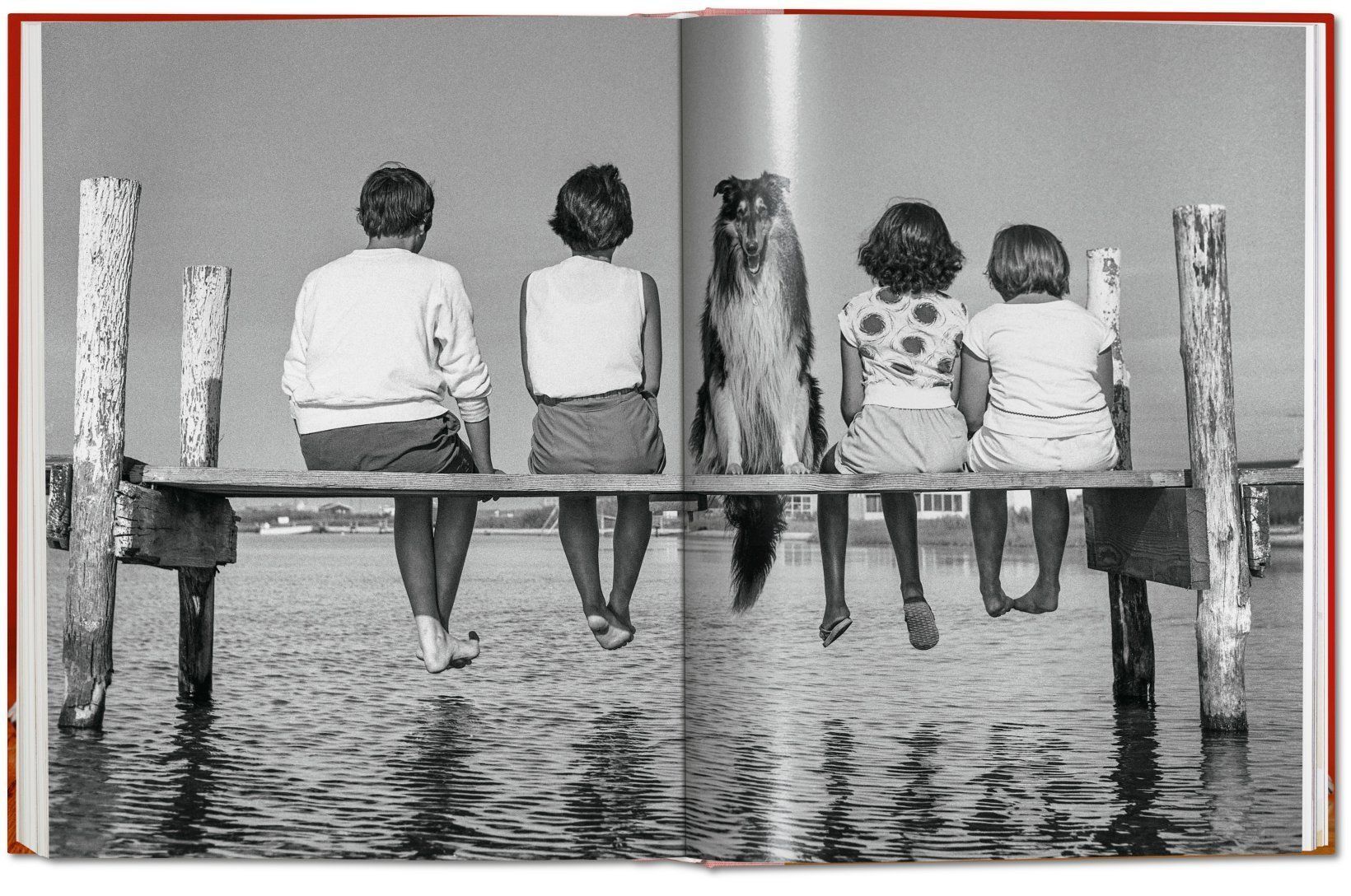 Dogs. Photographs 1941-1991_Walter Chandoha_9783836584296_Taschen GmbH