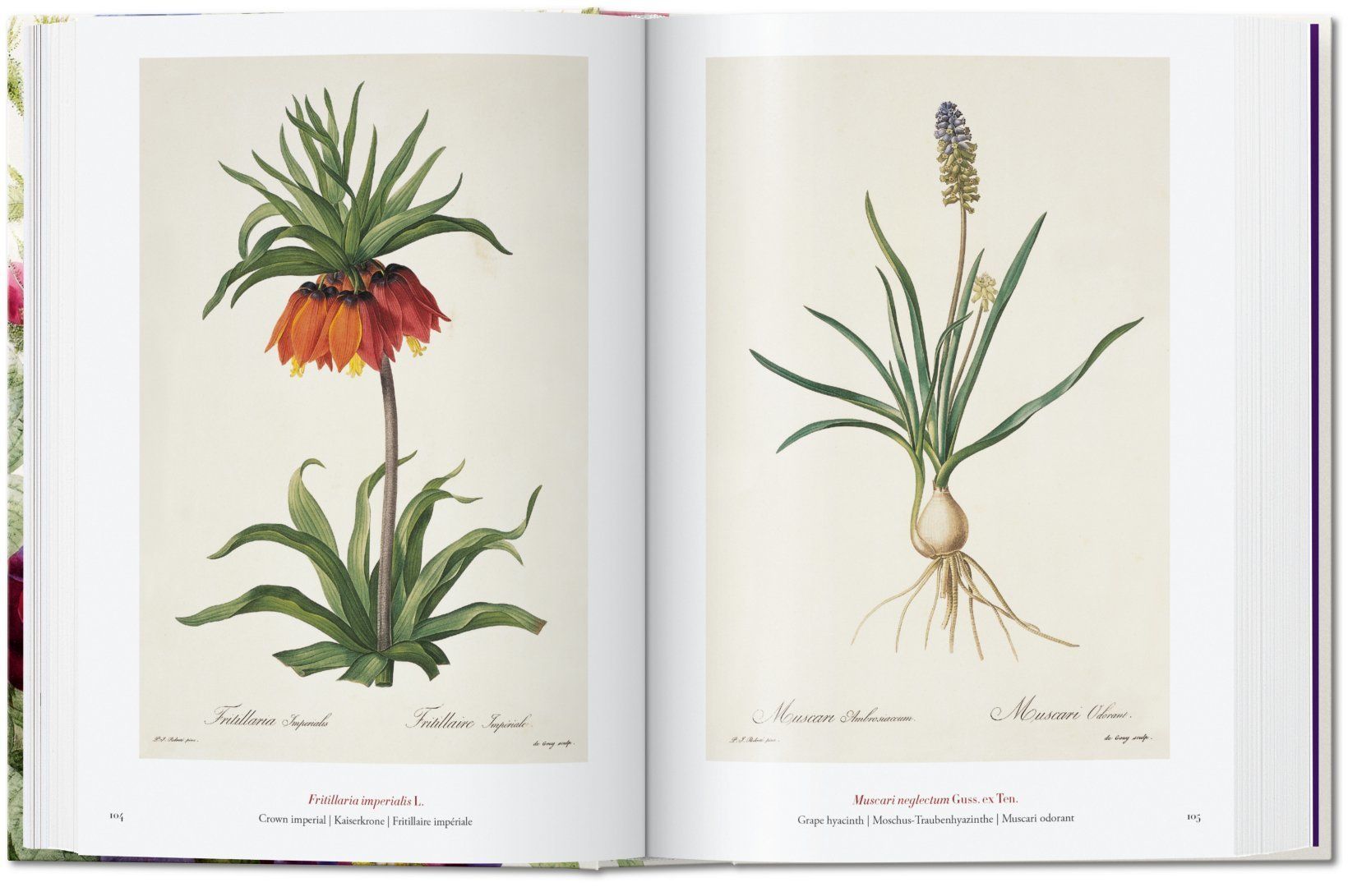 Book Of Flowers_H. Walter Lack_9783836556651_Taschen