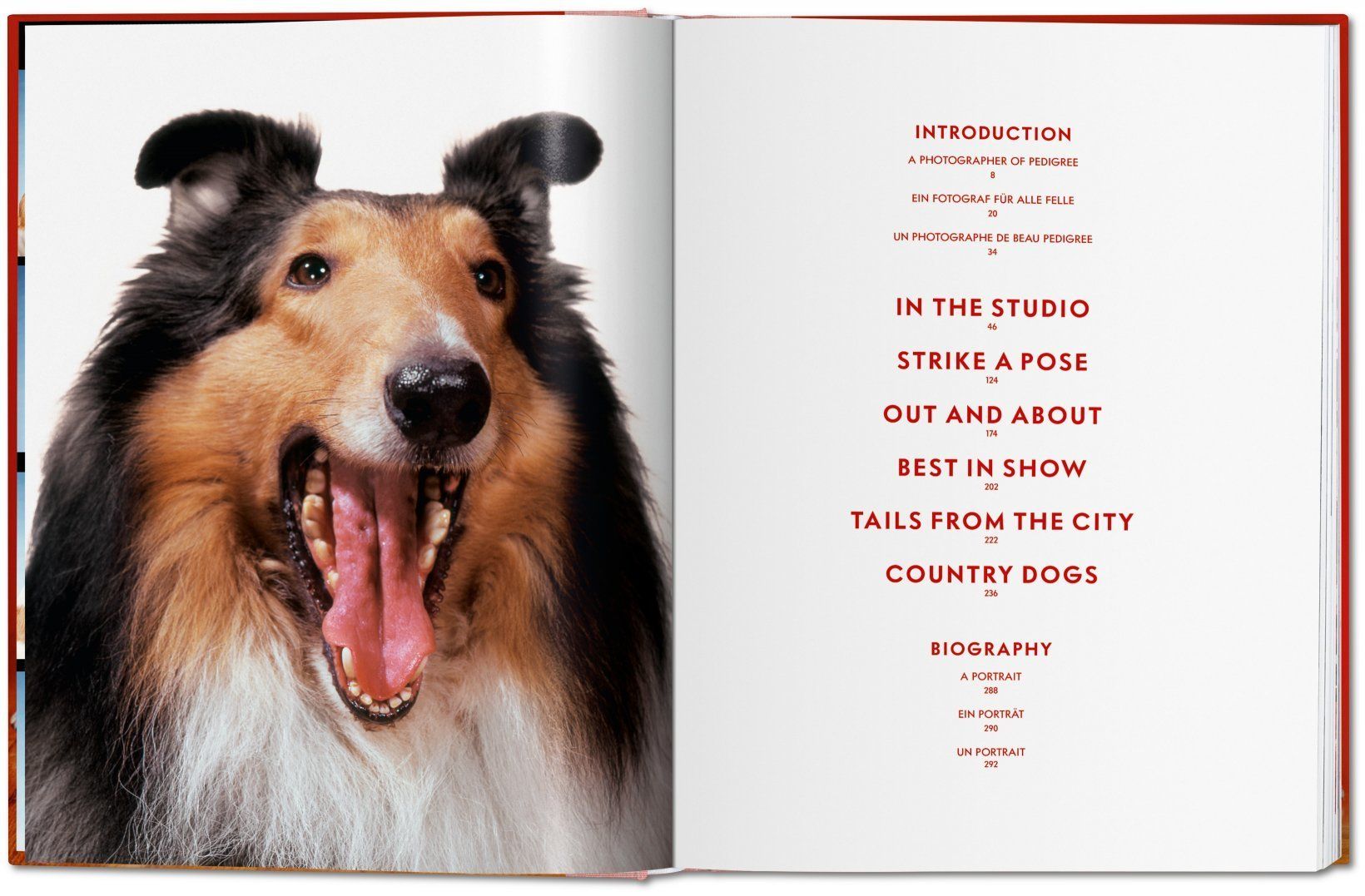 Dogs. Photographs 1941-1991_Walter Chandoha_9783836584296_Taschen GmbH