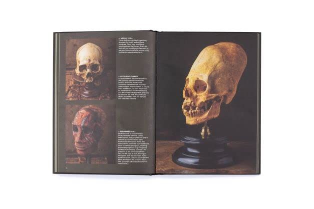 Skulls : Portraits of the Dead and the Stories They Tell