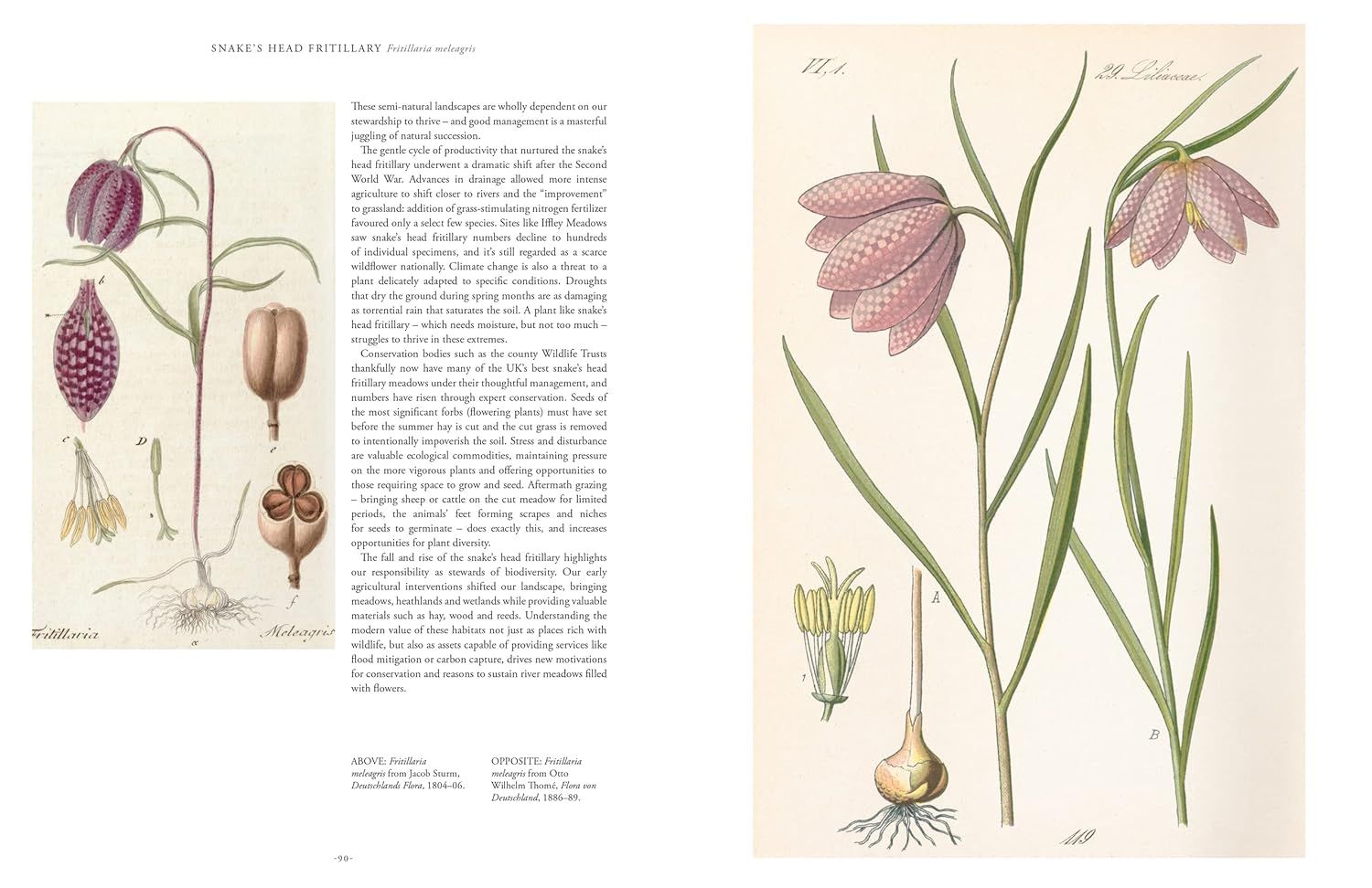 Kew - Rare Plants: The world's unusual and endangered plants
