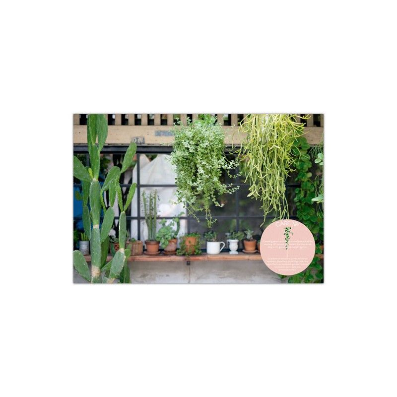 Go Green : Plants make People Happy_Eva Minguet_9788417557010_Instituto Monsa de Ediciones