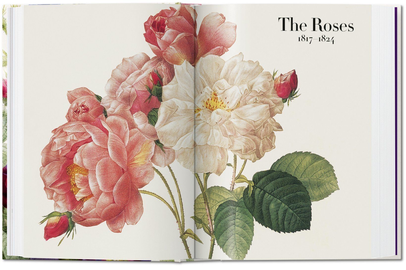 Book Of Flowers_H. Walter Lack_9783836556651_Taschen