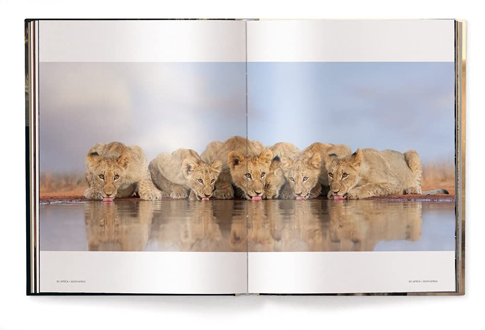Mother : A Tribute to Mother Earth_Marsel Van Oosten_9783961713349_teNeues Publishing UK Ltd