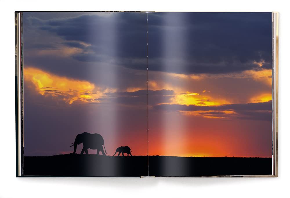 Mother : A Tribute to Mother Earth_Marsel Van Oosten_9783961713349_teNeues Publishing UK Ltd