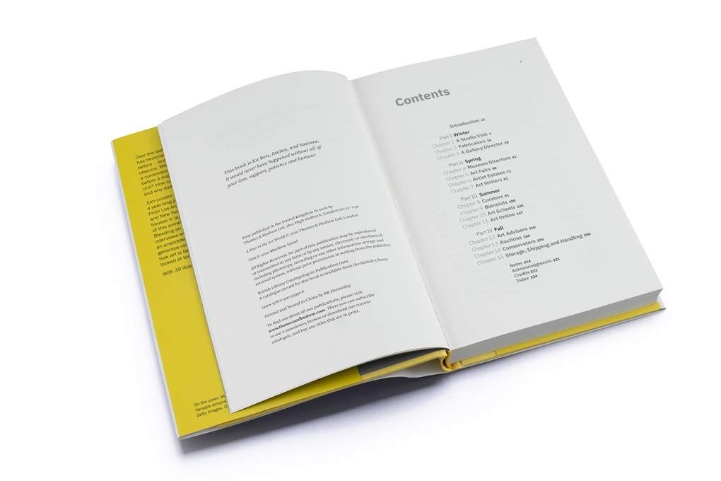 A Year in the Art World_Matthew Israel_9780500239926_ Thames & Hudson Ltd