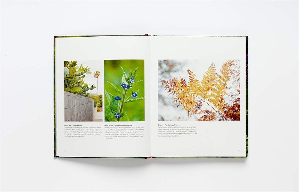 Wild About Weeds_Jack Wallington_9781786275301_Laurence King Publishing