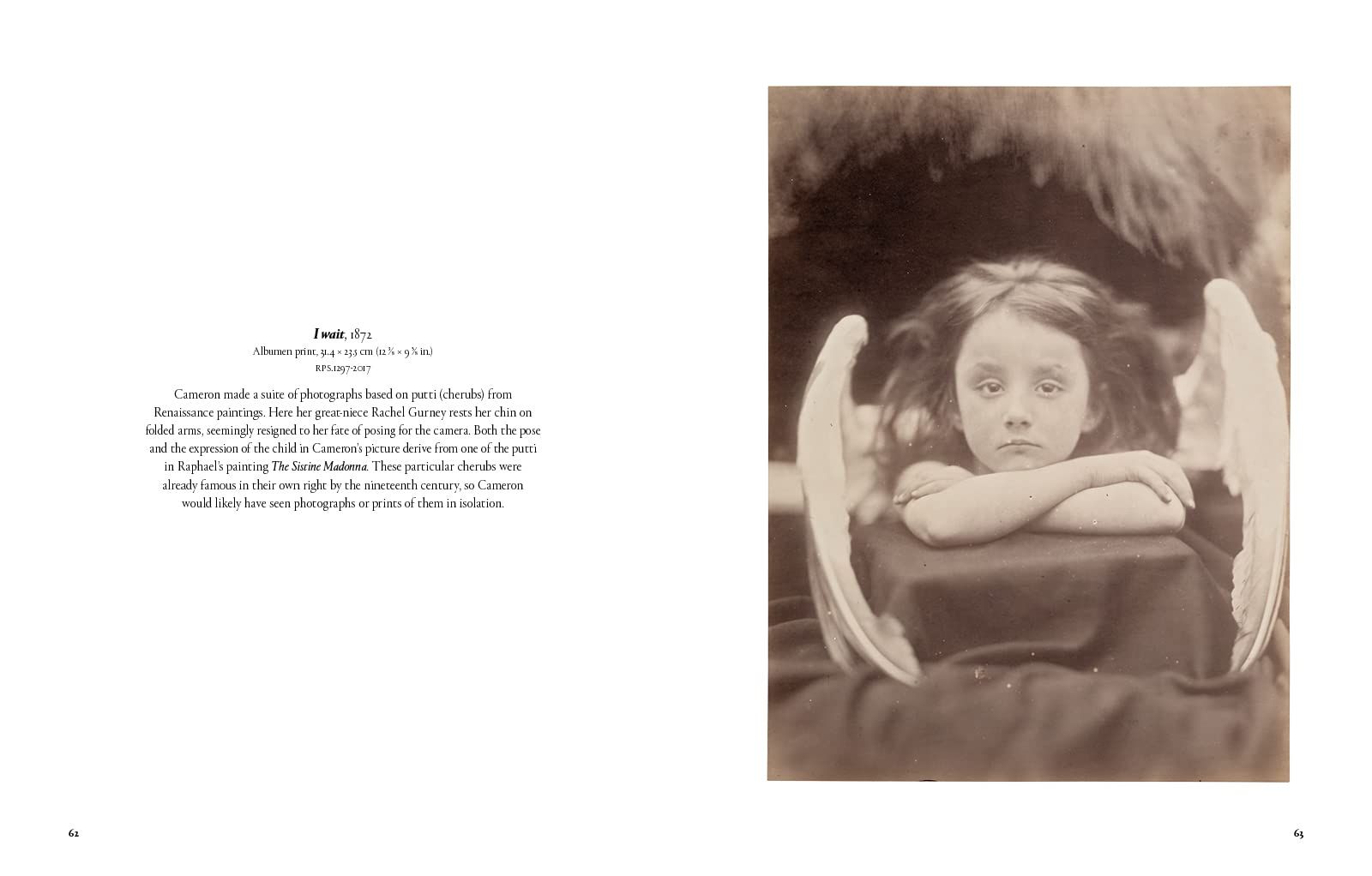 Julia Margaret Cameron - Arresting Beauty (Victoria and Albert Museum)