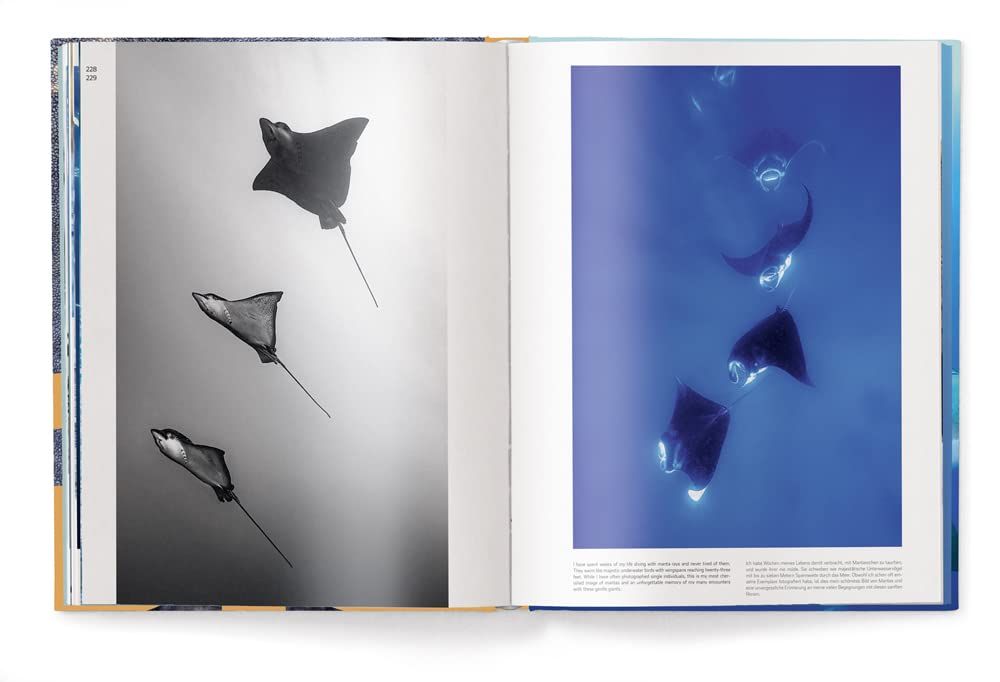 Big : A Photographic Album of the World's Largest Animals