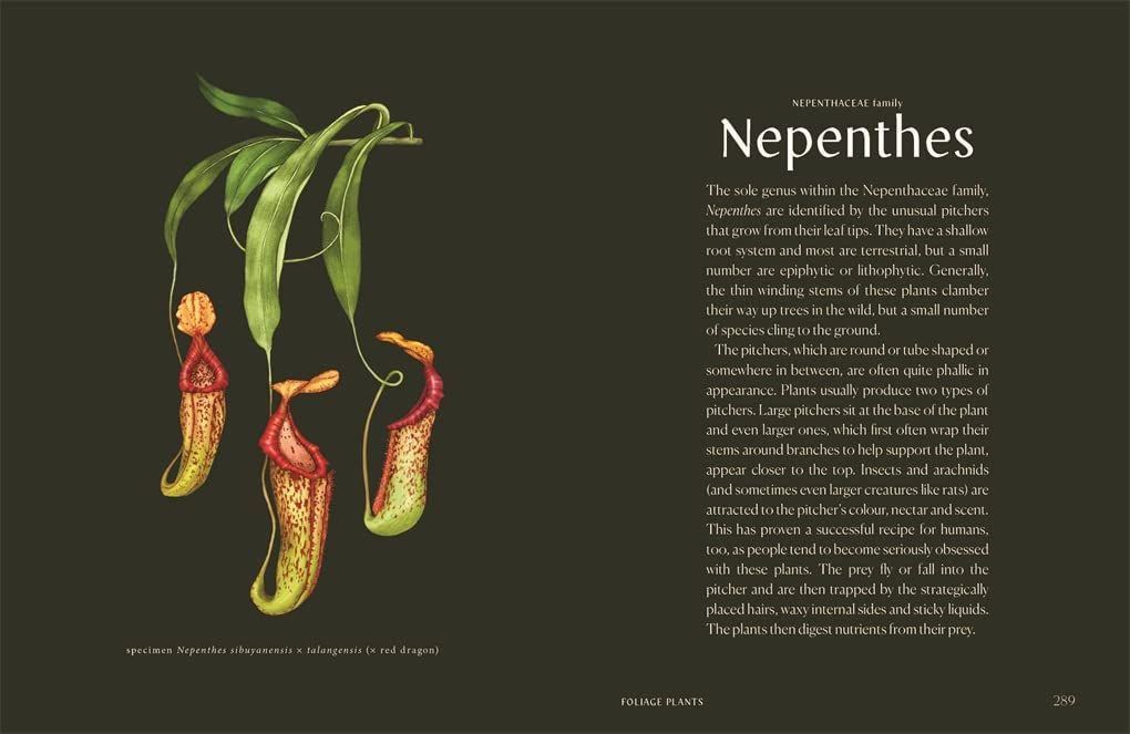 Plantopedia: The Definitive Guide to House Plants