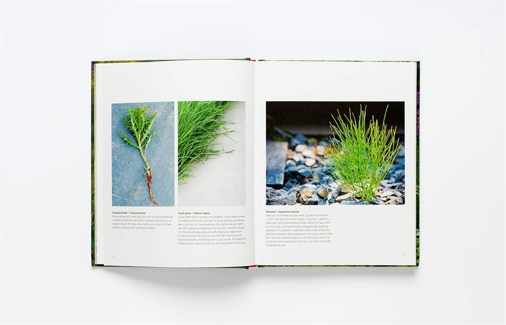 Wild About Weeds_Jack Wallington_9781786275301_Laurence King Publishing