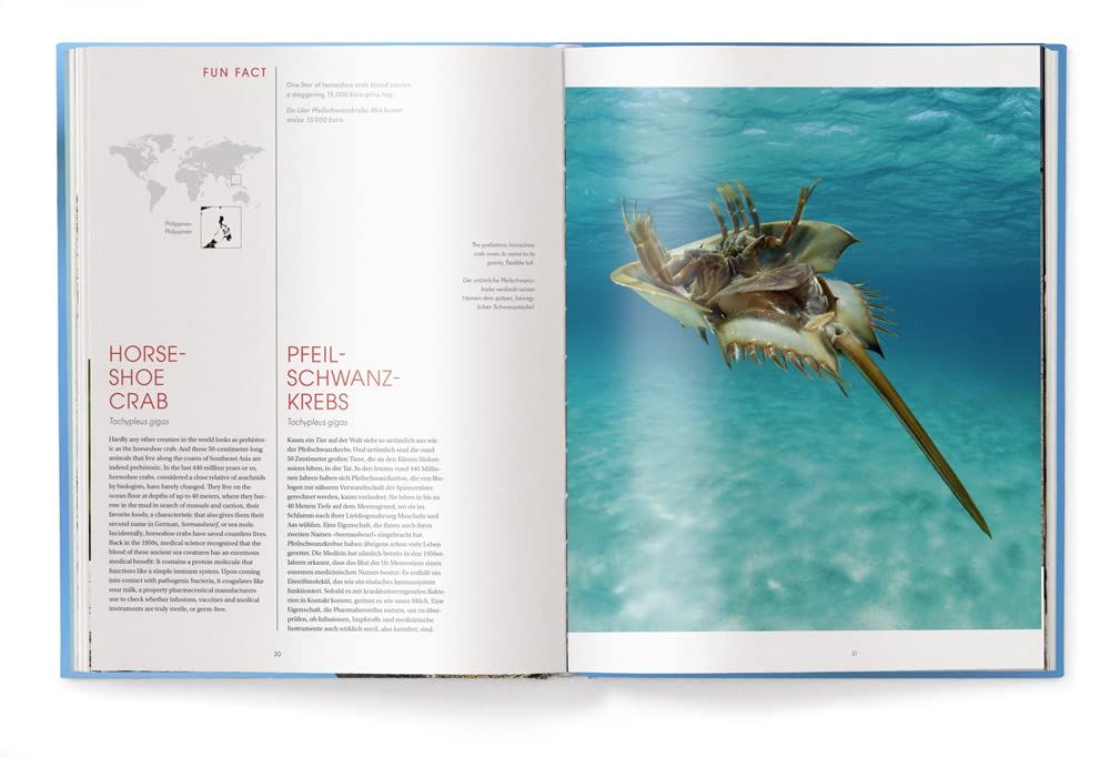 One of a Kind : The Unique World of Island Animals