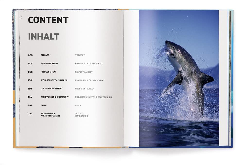 Big : A Photographic Album of the World's Largest Animals