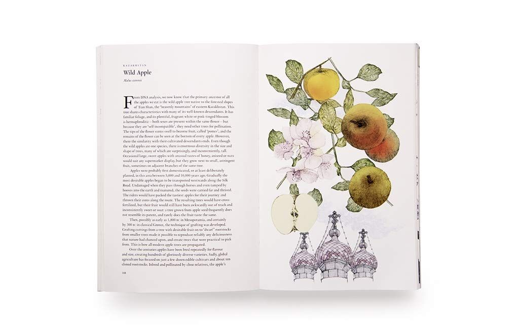 Around the World in 80 Trees_Jonathan Drori_9781786276063_Laurence King Publishing