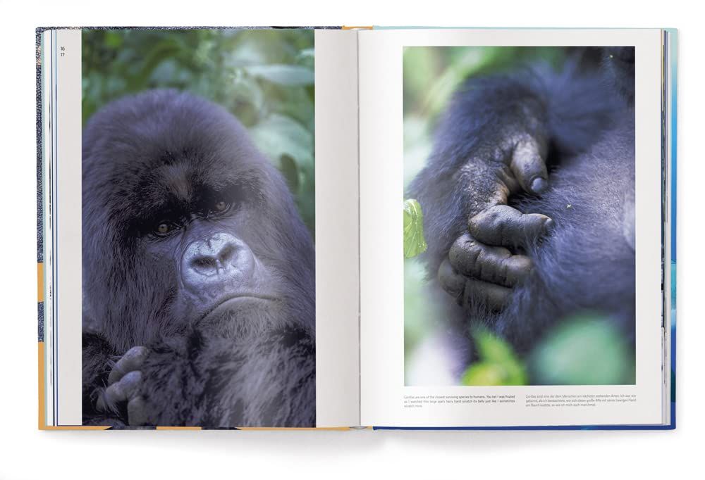 Big : A Photographic Album of the World's Largest Animals