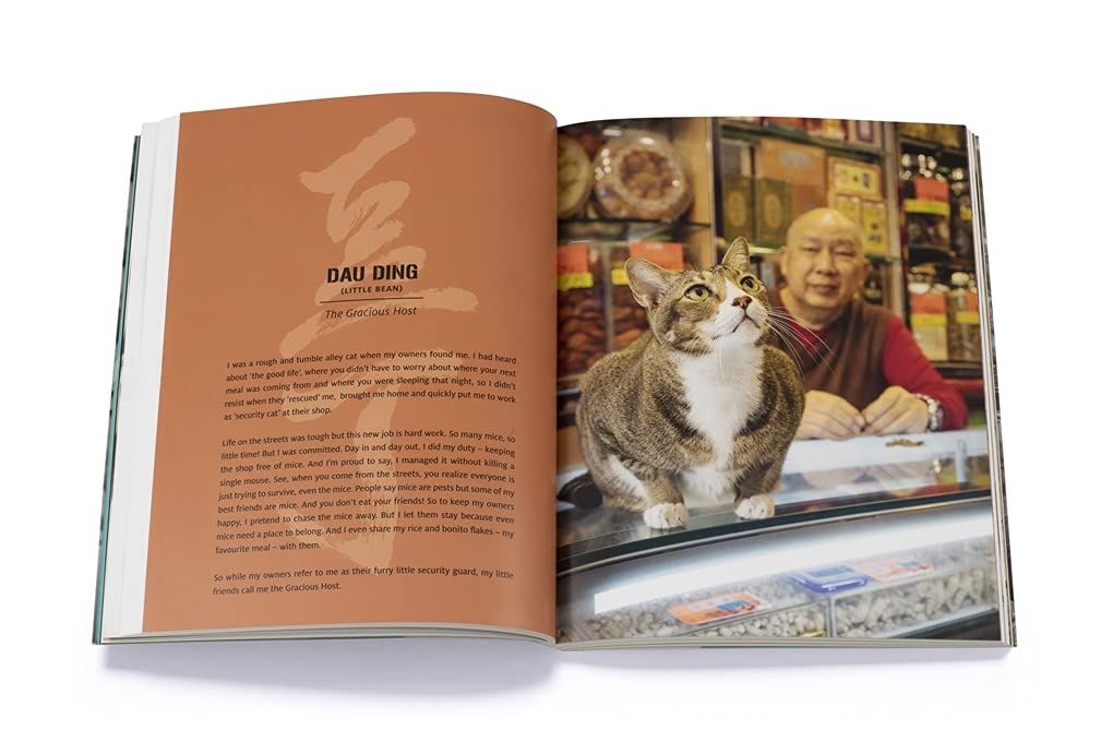 Shop Cats of Hong Kong_ Marcel Heijnen_9780500296233_Thames and Hudson