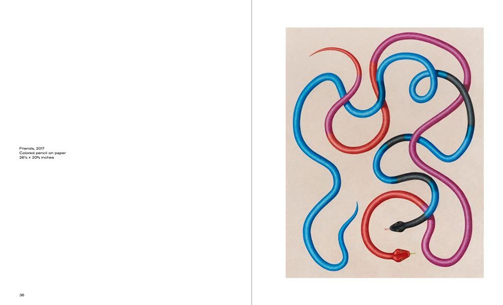 Mathew Cerletty: Drawings_Mathew Cerletty_9781949172652_Karma