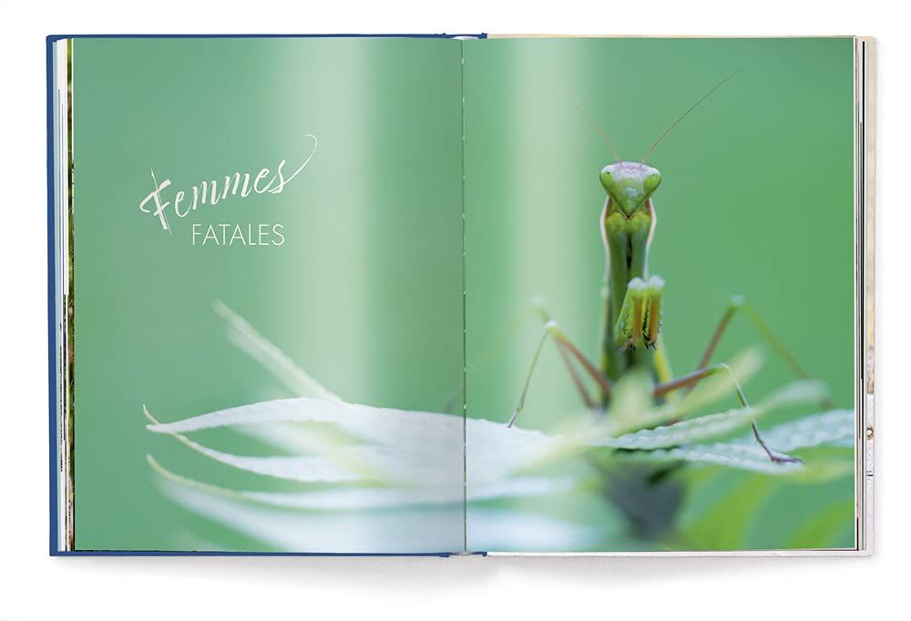 Fearless Females : Mothers, Hunters and Teachers_teNeues_9783961713516_teNeues Publishing UK Ltd