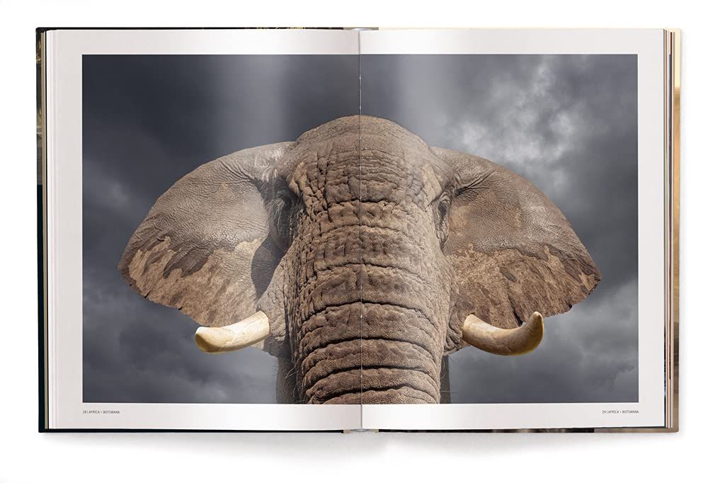 Mother : A Tribute to Mother Earth_Marsel Van Oosten_9783961713349_teNeues Publishing UK Ltd