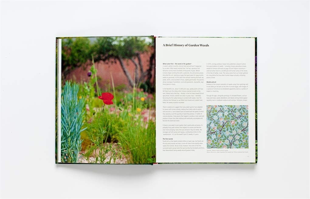 Wild About Weeds_Jack Wallington_9781786275301_Laurence King Publishing