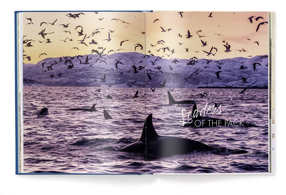Fearless Females : Mothers, Hunters and Teachers_teNeues_9783961713516_teNeues Publishing UK Ltd