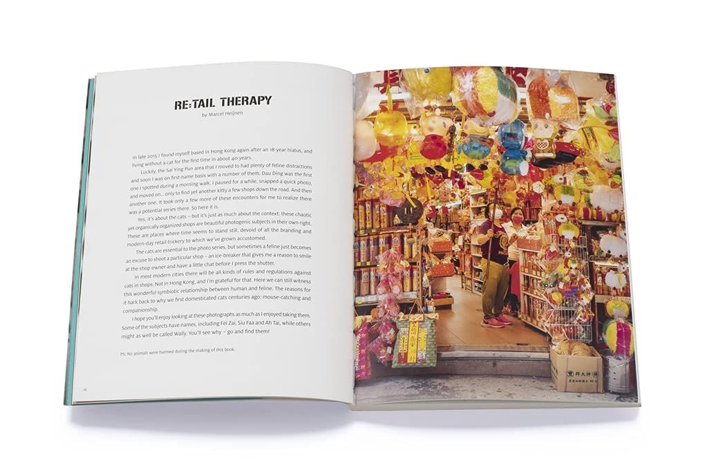 Shop Cats of Hong Kong_ Marcel Heijnen_9780500296233_Thames and Hudson