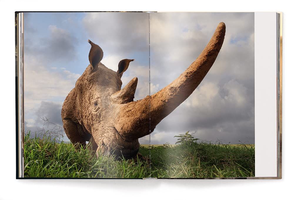 Mother : A Tribute to Mother Earth_Marsel Van Oosten_9783961713349_teNeues Publishing UK Ltd