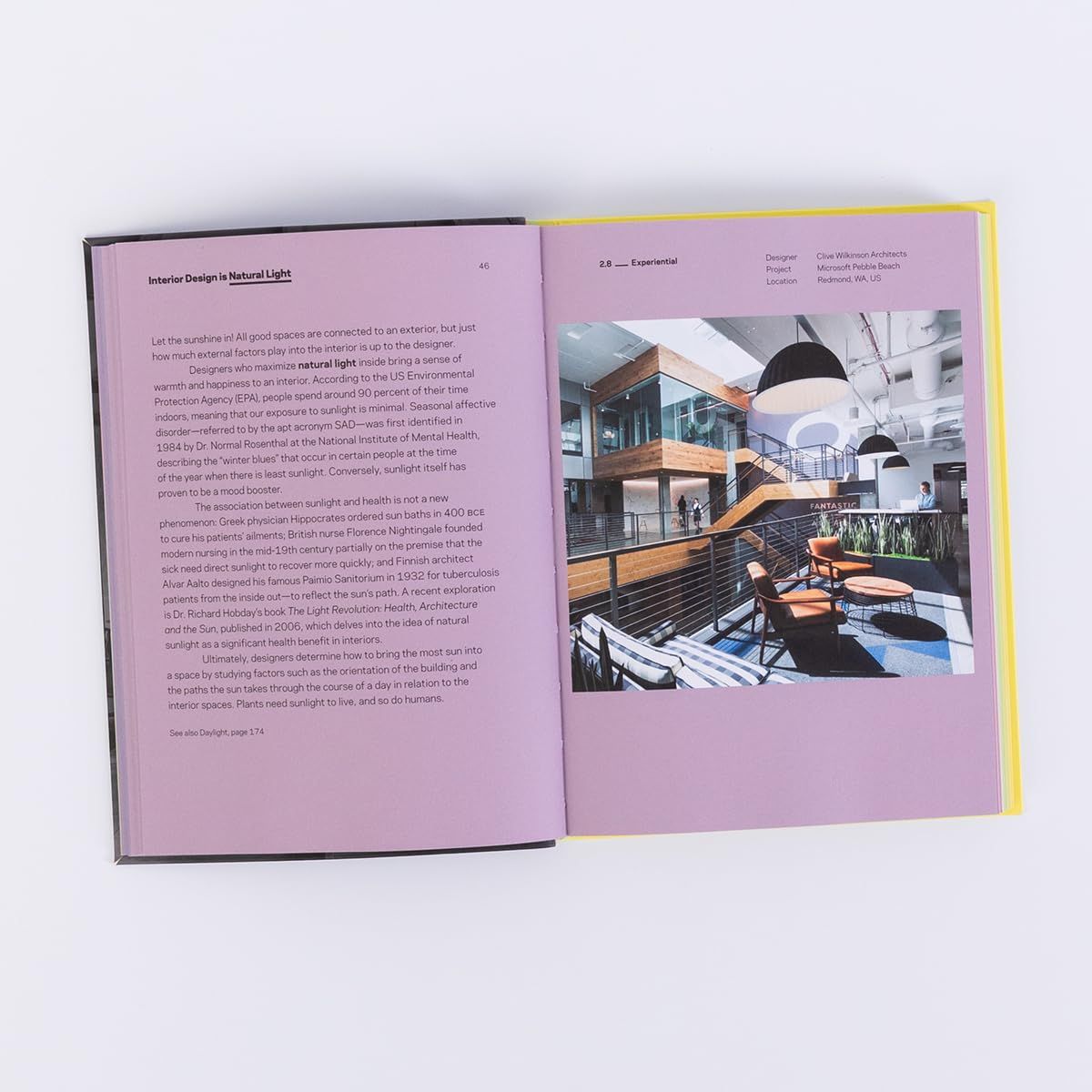 Interior Design is Not Decoration And Other Ideas: Explore the world of interior design all around you in 100 illustrated entries