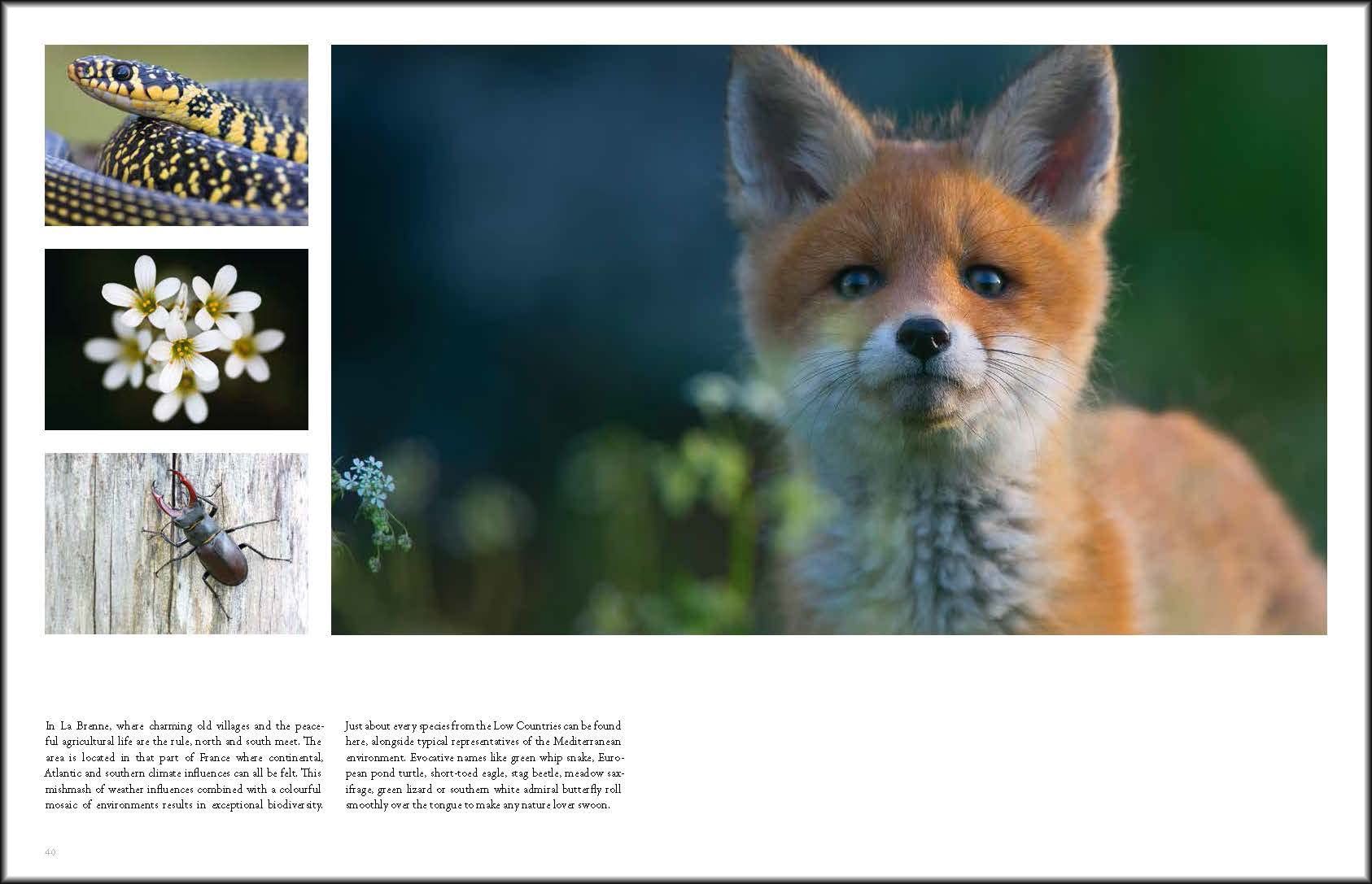 Wild Places of Europe: Astounding views of the continent’s most beautiful nature sites