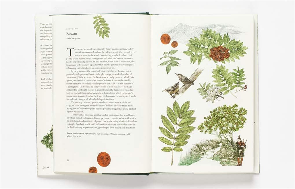 Around the World in 80 Trees_Jonathan Drori_9781786271617_Laurence King Publishing