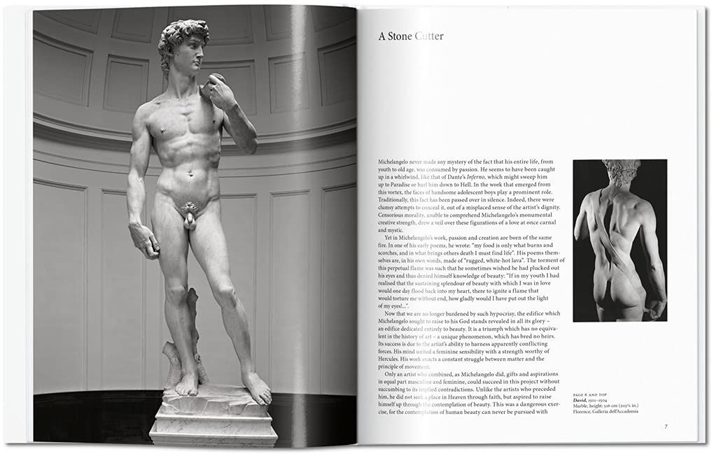  Michelangelo - Gilles Neret - 9783836530347 - Taschen 