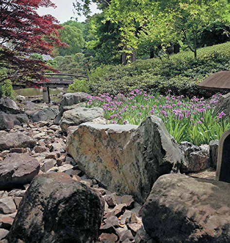 Japanese Gardens: Tranquility, Simplicity, Harmony