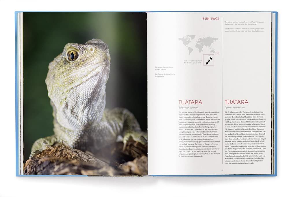 One of a Kind : The Unique World of Island Animals