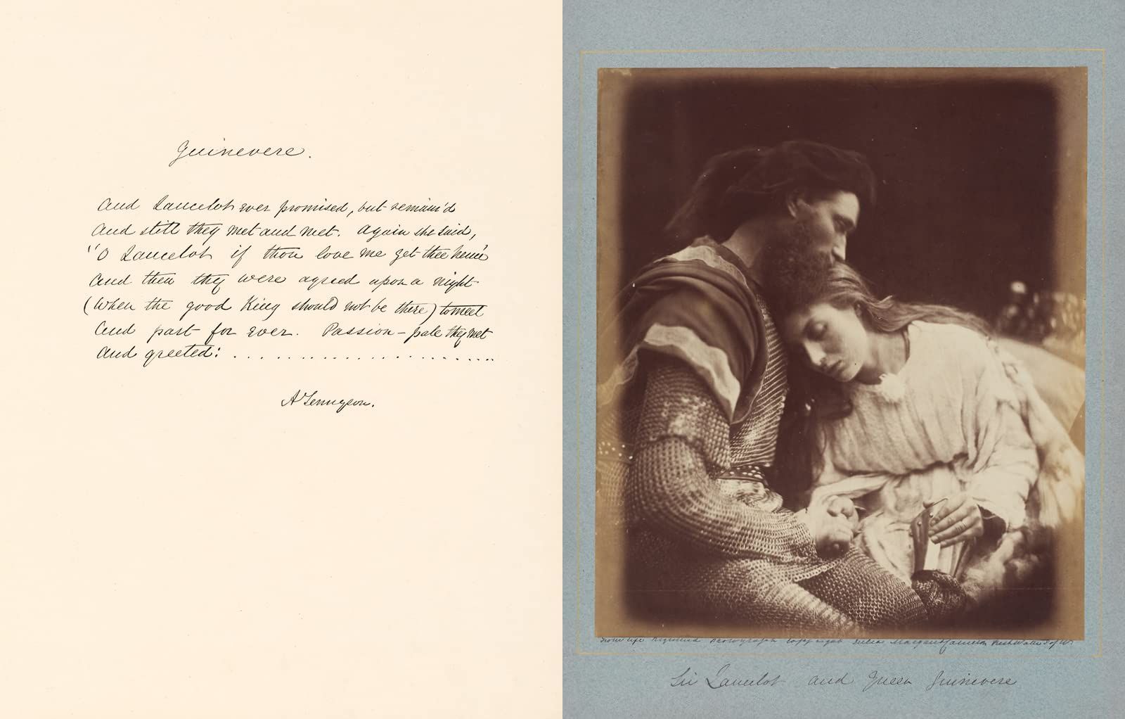 Julia Margaret Cameron - Arresting Beauty (Victoria and Albert Museum)