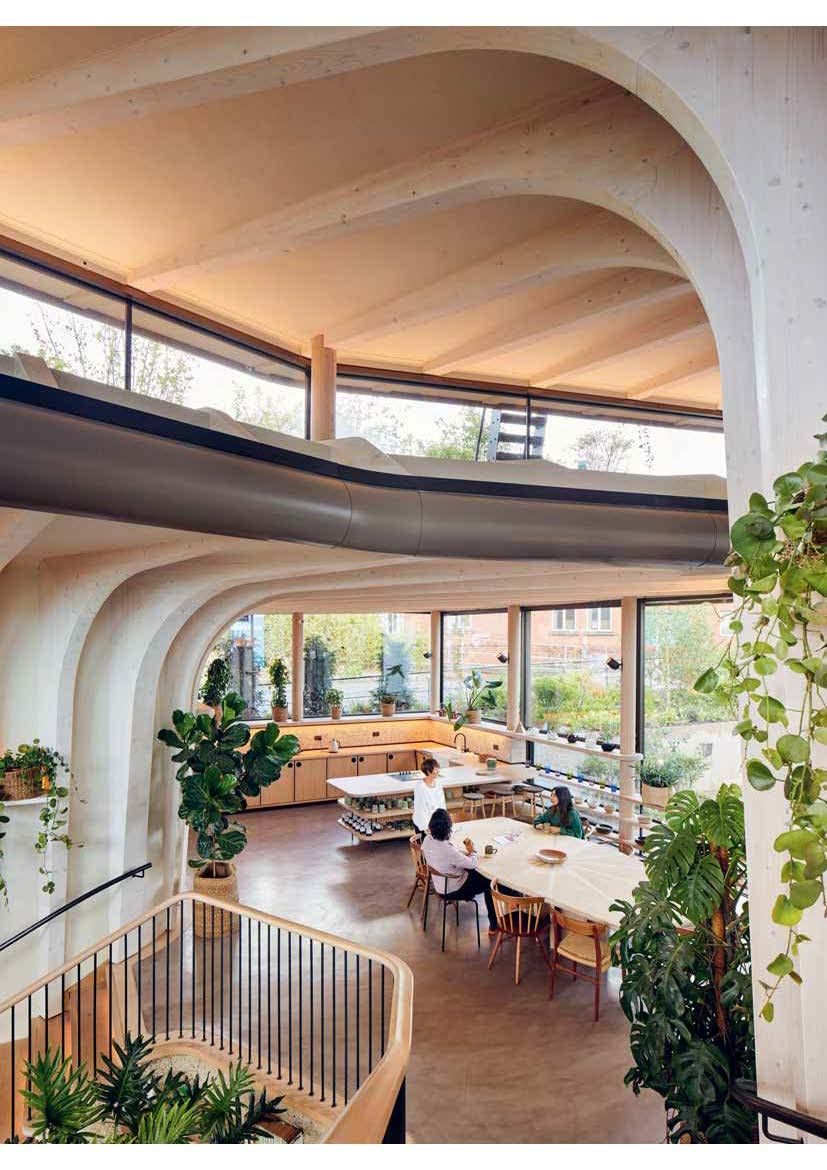 Botanical Buildings