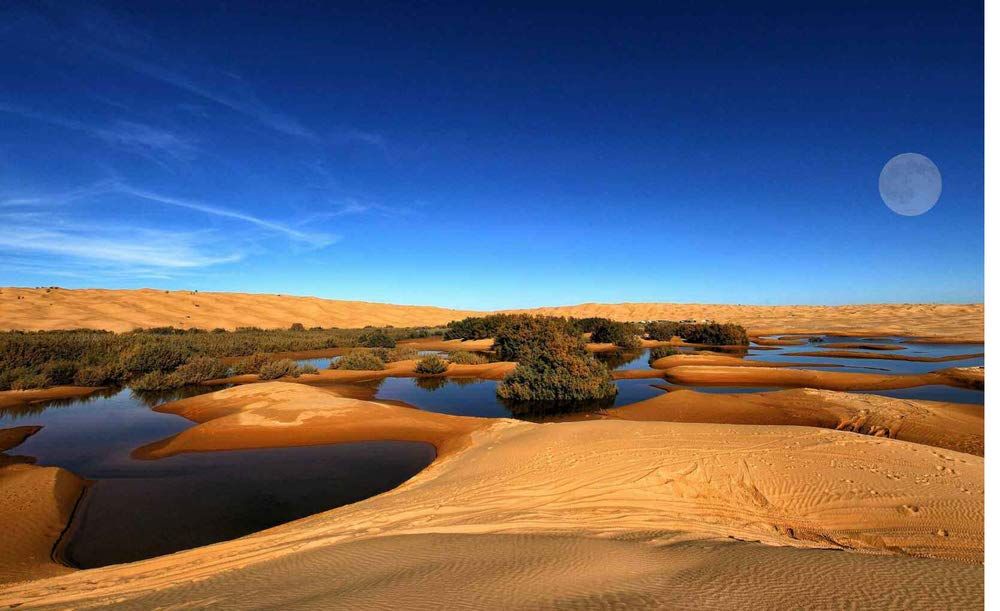 Deserts of the World