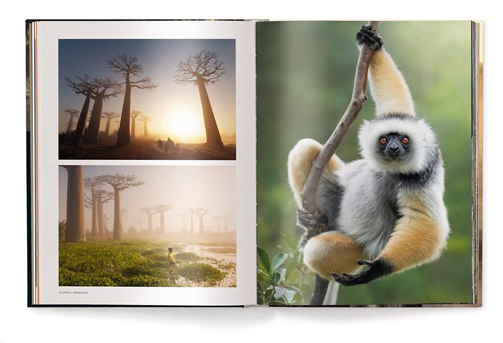 Mother : A Tribute to Mother Earth_Marsel Van Oosten_9783961713349_teNeues Publishing UK Ltd