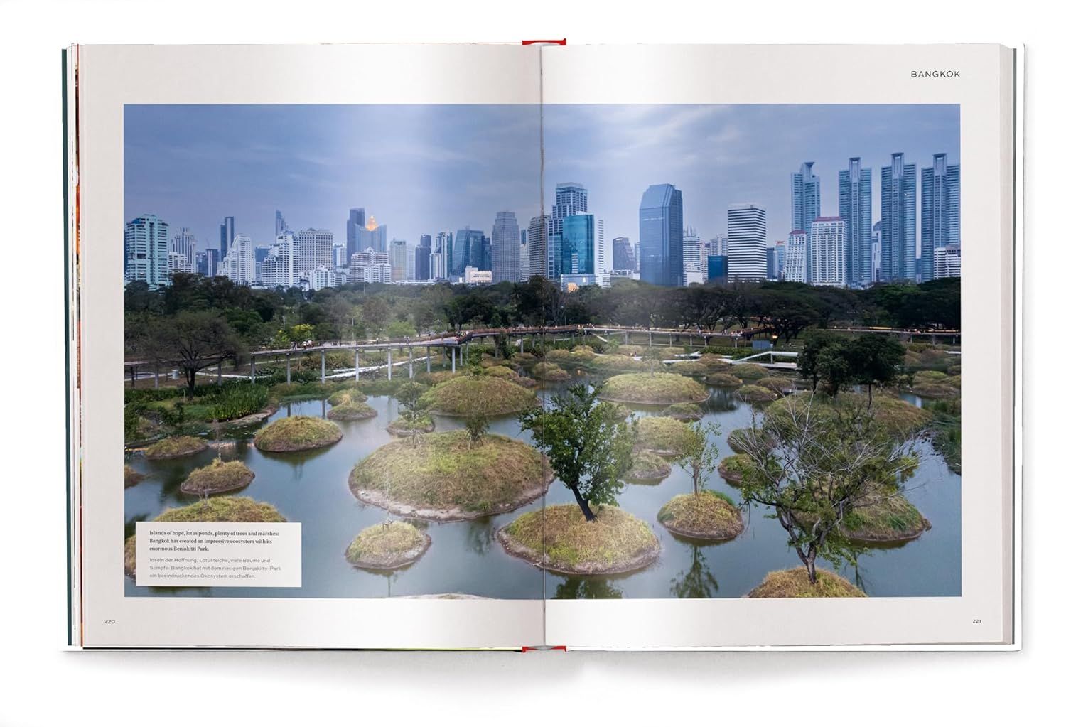Megacities: Living in the World's Largest Cities